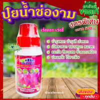 ปุ๋ยน้ำ ช่องาม 500 ซีซี ? ฮอร์โมน ช่องาม สูตรฮอร์โมนเร่งดอก-เร่งสี ปุ๋ยน้ำ ฮอร์โมน สารชีวภาพ ปลอดภัยใช้ง่าย