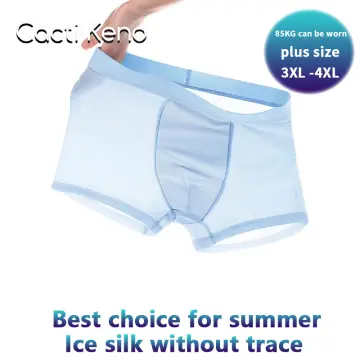 OEM Mens Underwear Ice Silk Boxers Shorts Briefs for Man - China