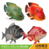 [COD] Cross-border supply of marine animal model tropical ornamental fish Sumei red silk stone bream simulation ornaments