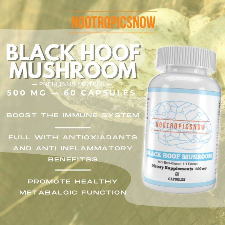 Nootropicsnowph Store Black Hoof Mushroom 500 mg (60 capsules, 60 ...