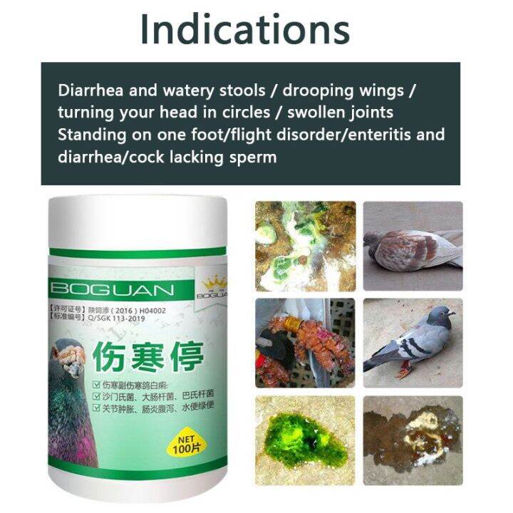 Pigeon Typhoid Fever Stop Salmonella Water Green Stool Joint Swelling