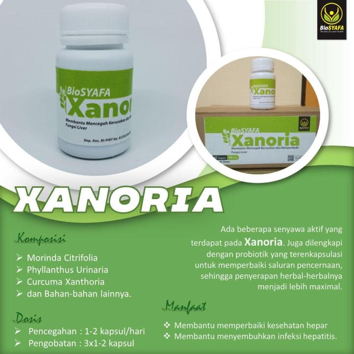 Paket Terapi Toksoplasma Probiotik Siklus Biosyafa Lazada Indonesia 7055