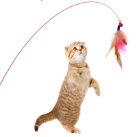 Bite Resistant Pet Toy For Cats Cat Teaser Stick Accessory With Feather Head Interactive Pet Toy With Feather Head Cat Teaser Stick With Feather Head Steel Wire Cat Toy