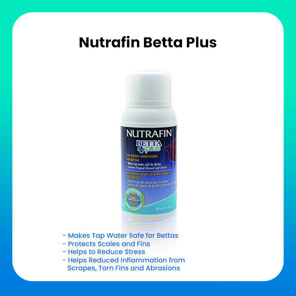 Nutrafin Betta Plus 120 mL Tap Water Conditioner for Bettas Lazada