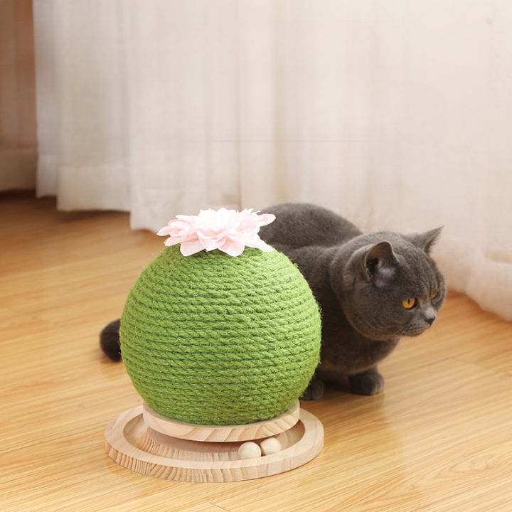 ลูกบอลแมว-รางบอลแมว-ของเล่นเเมว-ของเล่นแมว-แมว-ของใช้แมว-ลูกบอลแมว-บอลแมว-ของเล่นเเมว-ใส่ขนมได้-ของเล่นแมว-รางบอลแมว-ที่ลับเล็บแมว