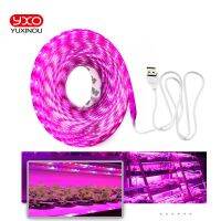 Full Spectrum LED Grow Lights USB LED Strip Lights 370-780nm 2835 Chip LED Grow Lamps 0.5m 1m 2m 3m for Indoor Plants growing