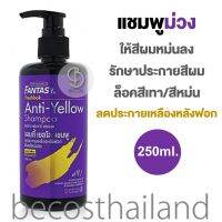 Carebeau Fantasy Freshlook Anti-Yellow Shampoo 250ml. แคร์บิว แอนตี้ เยลโล แชมพูล็อคสีเทา/หม่น ลดประกายเหลือง ให้สีผมหม่นลง