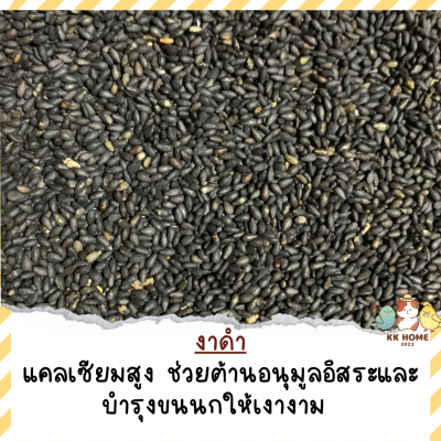งาดำคั่ว งาดำ ขนาด 35 กรัม กับ 100 กรัม ธัญพืชนกมากคุณประโยชน์ อาหารเสริมนก อาหารเสริมนกแก้ว นกแก้ว อาหารนกแก้ว