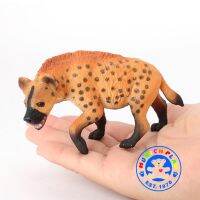 Munich Play - โมเดลสัตว์ Hyena ฮายีน่า ส้ม ขนาด 11.00 CM (จากหาดใหญ่)