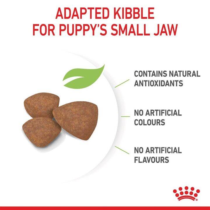 ส่งฟรี-royal-canin-mini-puppy-800g-อาหารเม็ดลูกสุนัข-พันธุ์เล็ก-อายุ-2-10-เดือน