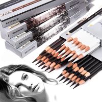 12Pcs/Set Soft Medium Hard Black HB Sketch Charcoal Pencil White Sketch Drawing Painting Art Supplies Professional Tools