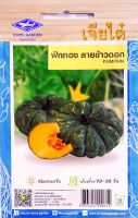 ฟักทอง ลายข้าวตอก Pumpkin เมล็ดพันธุ์เจียไต๋ โฮมการ์เด้น