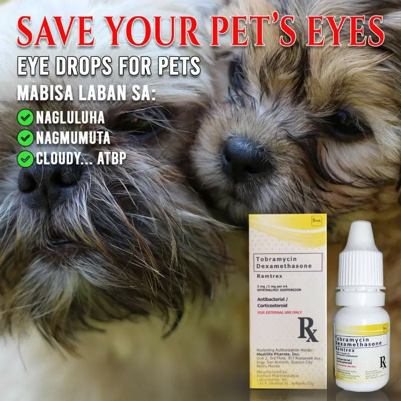 can eye drops be used by dogs