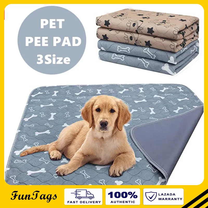 what does puppy pad trained mean