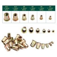 210PCS Carbon Steel Rivnuts Flat Head Threaded Rivet Insert Nutsert Cap Rivet Nuts M4M5M6M8M1012 Assortment Kit