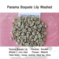 เมล็ดกาแฟสารปานามา Panama Boquete Lily Washed ( 500 g.)