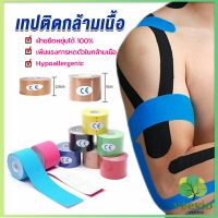 Veevio เทปบำบัด พันกล้ามเนื้อ 5cmx5m 2.5cmx5m คิเนสิโอ มีกาวในตัว Sports Bandage