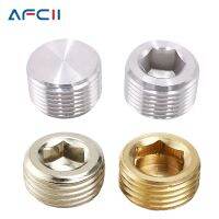 10Pcs/lot M5 1/8 1/4 3/8 1/2 304 Stainless Steel Brass Nickle Plated Iron Hexagonal Pneumatic Fitting Plug End Cap For Air