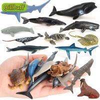 Action FiguresZZOOI Mini Simulation Ocean Animal Model Shark Whale Turtle Otter Walrus Dolphin Ray Action Figures Early Educational toy for children Action Figures