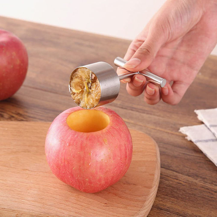 shanglife-stainless-steel-fruit-core-puller-apple-pear-corer-household-steon-pear-mold-corer