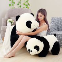 【CW】1pcs Cute Giant Panda Bear Plush Stuffed Animal Doll Animals Toy Pillow Cartoon Kawaii Plushies Dolls Girls Lover Gifts