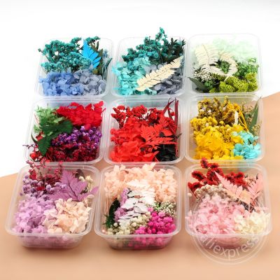 【CC】 Diy Dried Flowers Artificial for Candles Epoxy Resin Decoration Making Crafts Accessories Jewelry Bouquet