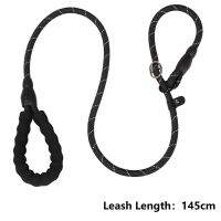 Hot Adjustable Nylon Dog Collar Leash P Chain Leash For Dogs Small Medium Large Dog Universal Pitpull Cheap Strong Collar Leashes