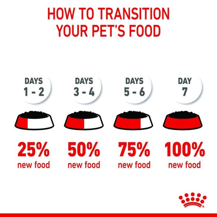 ส่งฟรี-ยกกล่อง-10-ซอง-royal-canin-medium-puppy-pouch-gravy-อาหารเปียกลูกสุนัข-พันธุ์กลาง-อายุ-2-12-เดือน-ซอสเกรวี่-wet-dog-food-โรยัล-คานิน