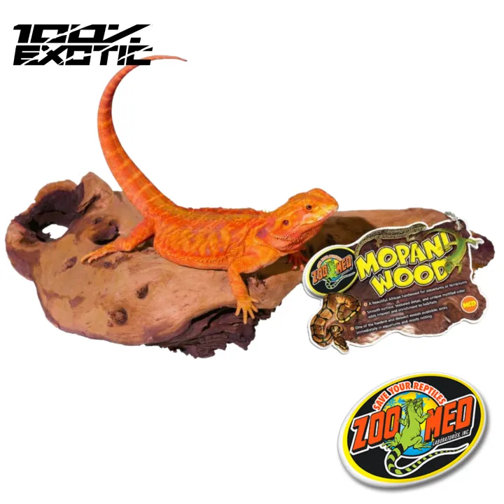 Zoomed Mopani Wood Medium Wood Decorations, Wood Designs, Aquarium