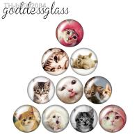 ❖℗ Lovely cats cartoon cats 10pcs mixed 12mm/18mm/20mm/25mm Round photo glass cabochon demo flat back Making findings