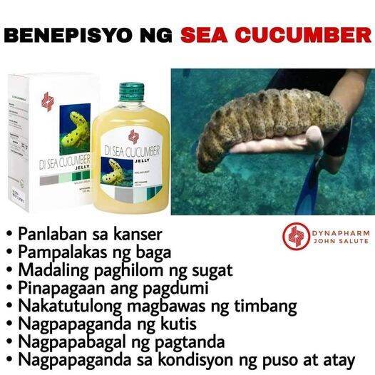 Sea Cucumber Jelly Lazada PH
