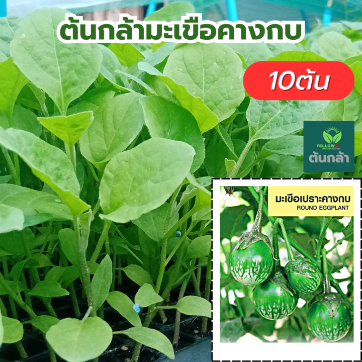 My Image 28