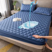 Mattress Protector Waterproof Mattress Pad Cover Couple Quilted Elastic Fitted Sheet Euro Double Bed Sheet Linen 90 150 180x200