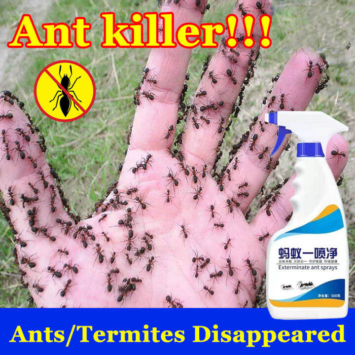 Ant Killer Spray Termite Killer 500ml Effectively kill ants in the