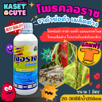 ? แถมฟรีเสื้อ 1 ตัว เจอราจ (โพรคลอราช) ป้องกันเชื้อรา ใบไหม้ ใบจุด ราดำช่อดำ เมล็ดด่าง แอนแทรคโนส (1ลิตร)