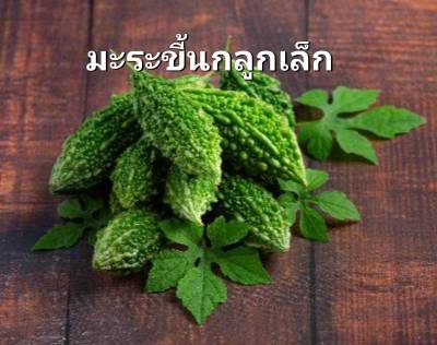 มะระขี้นกลูกเล็ก มะระขี้นก  เมล็ดพันธุ์มะระขี้นก Small Bitter Gourd Seeds บรรจุ 3เมล็ด