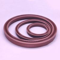 2/3pcs USH/UPH/UY Type Hydraulic Cylinders Fluorine Rubber Oil Seals For Shafts FKM Sealing Rings Inner Dia 12mm to 100mm Gas Stove Parts Accessories