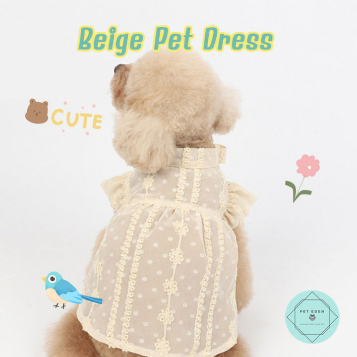 เดรสลูกไม้-เดรสหมา-เดรสแมว-lace-pet-dress-เดรสสุนัข-เสื้อหมา-เสื้อผ้าแมว-เสื้อผ้าหมา