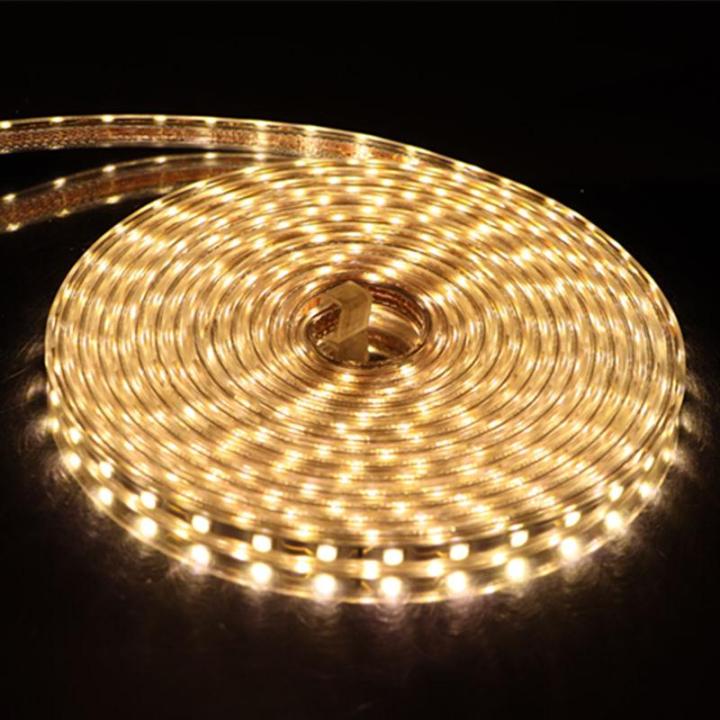 smd-5050-ac-220v-led-strip-outdoor-waterproof-220v-5050-220-v-led-strip-220v-smd-5050-led-strip-light-1m-2m-5m-10m-20m-25m-220v-led-strip-lighting