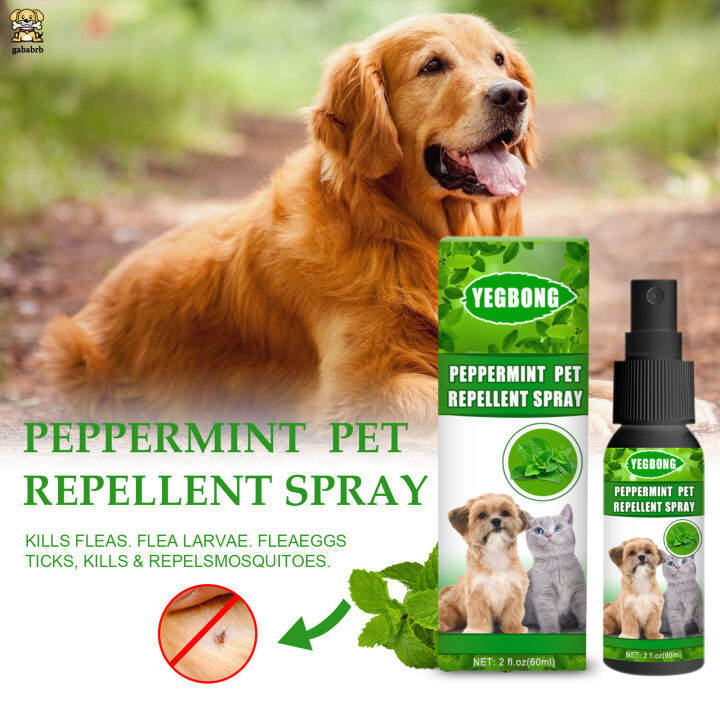 gababrb 60ml Pet Antimite Mite Killer Spray Containing No Bleach or
