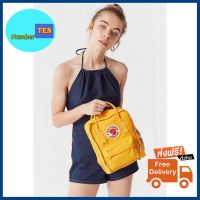 the colorful backpack bag for teenage and working man woman save your notebook and labtop