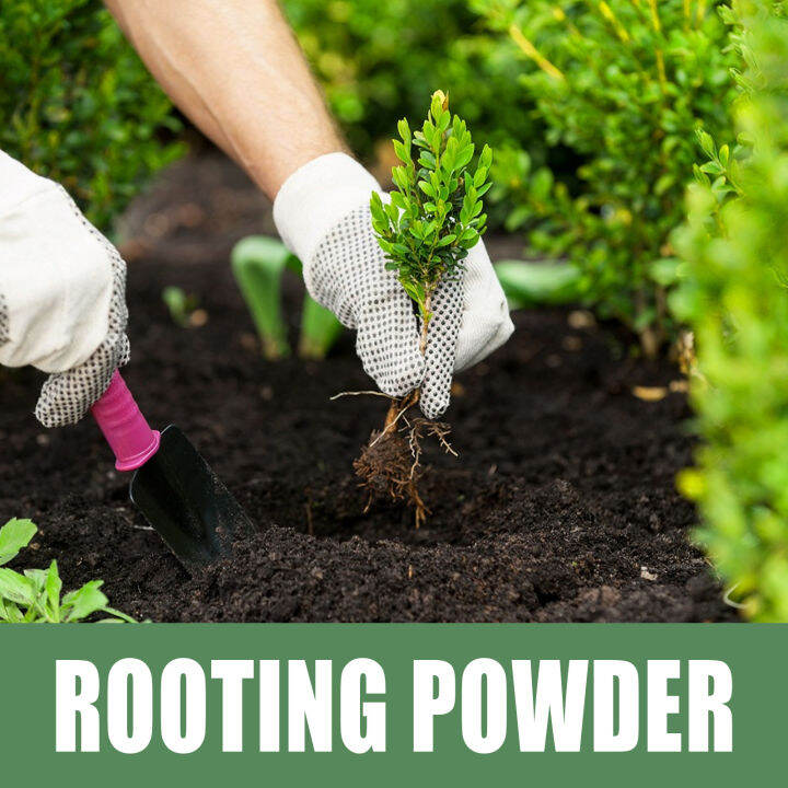 【Rooting powder fertilizer】Rooting hormone powder, fast root, plant growth powder, succulent