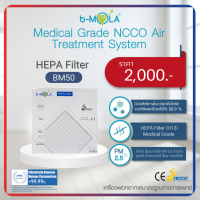 แผ่นกรอง HEPA Filter รุ่น BM50 (1pcs/set)