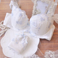 Japanese White Embroidered Thin Cup Girl Cute Push up y Lingerie Set with De Cup