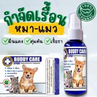 BUDDY สเปรย์นาโน ขี้เรื้อน สัตว์เลี้ยง หมา แมว กำจัดขี้เรื้อน เชื้อรา ยีสต์ ผื่นแดง หมาแมว ทำความสะอาดผิวหนัง 100ml