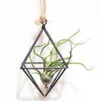 【hot】♦▽  Freestanding Hanging Planters Wrought Iron Tillandsia Air Holder Triangular Shaped Metal Rack