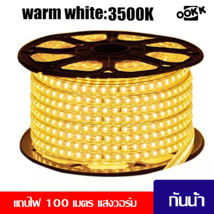 ไฟเส้น-led-พร้อมปลั๊ก-220v-ไฟเชือกยืดหยุ่นกันน้ำ-กันแดด-60-led-เมตร-ความสว่างสูงกลางแจ้งตกแต่งในร่ม-ความสว่างสูงเครื่องประดับตกแต่ง