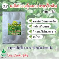 เมล็ดพันธุ์กวางตุ้งดอก เพชรไพลิน จากประเทศนิวซีแลนด์ ตรา ใบไม้   500 กรัม 1 ถุง จาก ไดนามิคพันธุ์พืช Flowering Pakchoy seeds (Phetpailin) 500 grams by Dynamic Seeds