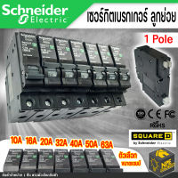 Schneider เซอร์กิตเบรกเกอร์ ลูกย่อย  1 Pole((10A-63A)) ตัวเลือกสินค้า&amp;gt;&amp;gt; 10A 16A 20A 32A 40A 50A 63A