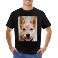 Cattle Dog - Red Heeler T-Shirt Oversized T Shirts Men Graphic T Shirts